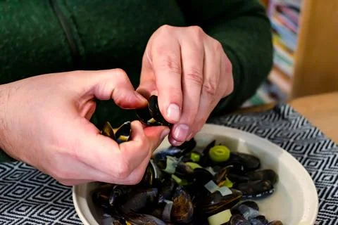 Bouchot mussels from Brittany, empty shells, shellfish rich in omega 3, hea.. Stockfoto's