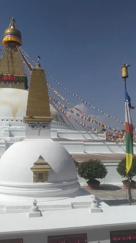 Boudha eyes 動画素材 142264616