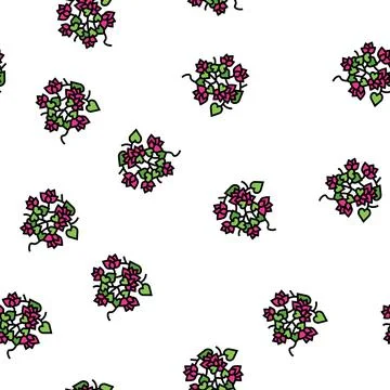 Bougainvillea liana vector seamless pattern Stock Illustration