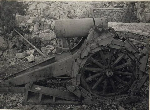 Bough gun. (Landungszung Grado: in mid-May 1918.). Copyright: xpiemagsx au... Stock Photos