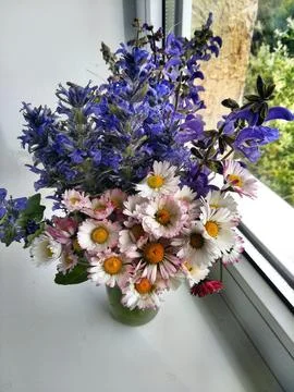 Bouguet on the window  Stock Photos