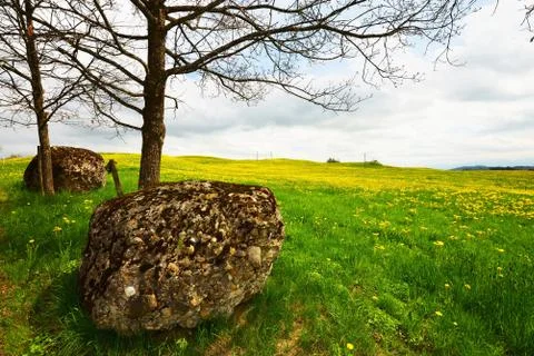 Boulder on alp meadow Stock Photos