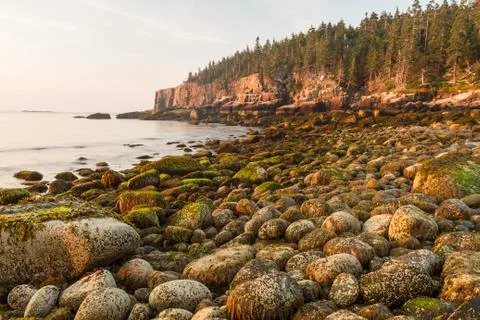 Boulder Beach &amp; Otter Cliffs Stock Photos