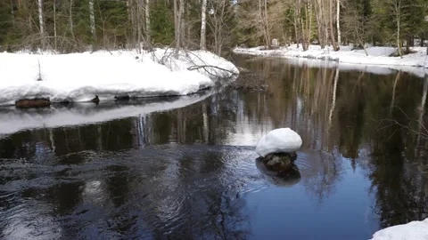 A boulder with a cap of snow in cold water, snow and forest in the background Stock Footage 205941854