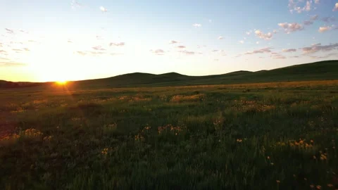 Boulder, Colorado, meadow at sunrise Stock Footage