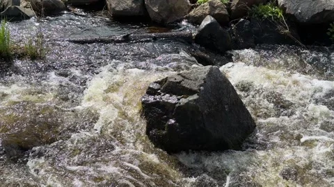 Boulder in a creek Stock Footage 310083276