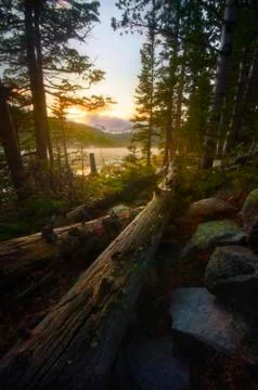 Boulder, Fallen timber at sunset Stock Photos