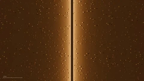 Boulder field side scan sonar waterfall seabed record loop 스톡 동영상 344129667