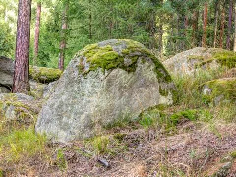Boulder in forest Stock Photos
