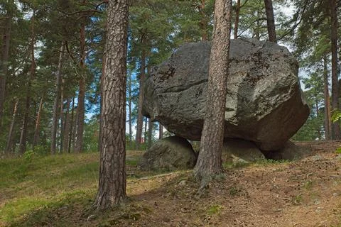 Boulder in forest. Stock Photos