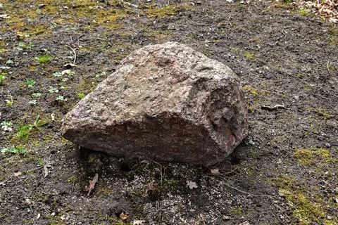 Boulder on the ground. Stock Photos