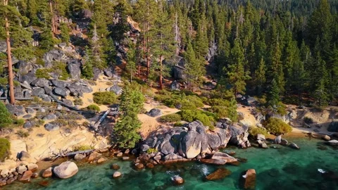 Boulder lined cove beneath conifers at Lake Tahoe. A sand strip curves around Stock Footage 346532499
