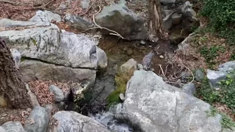 Boulder-lined stream in Cyprus rocky gorge Stock Footage 328098424