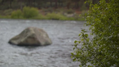 Boulder in the Middle of the Deschutes Stock Footage 90671774