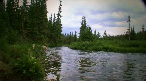 Boulder mountain stream tlapse16 HDF41  Stock Footage 768312