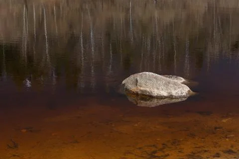 Boulder, river, reflection of trees in the water. Stock Photos