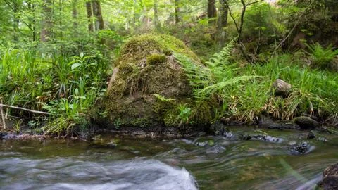 Boulder at sight of river Stock Photos