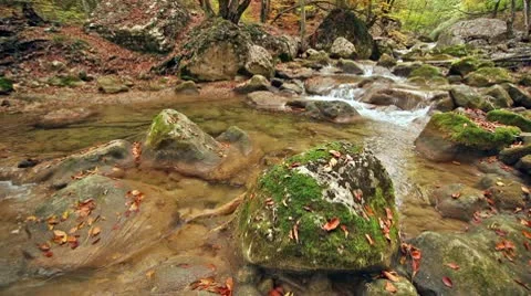 The boulder which has acquired a moss, and the mountain river Stock Footage 9567177