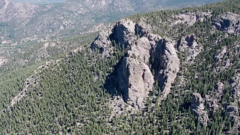 Boulders in Evergreens Stock Footage 250434338