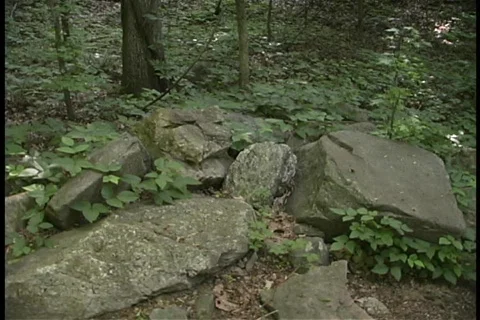 Boulders in Forest Stock Footage 140330
