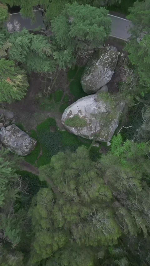 Boulders in the forest Stock Footage 299130270