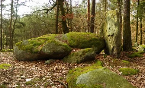 Boulders on forest Stock Photos
