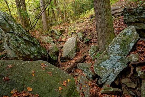 Boulders in the forest Stock Photos
