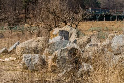 Boulders in front of leafless tree Stock Photos