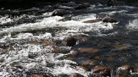 Boulders in shallow river Stock Footage 92349381