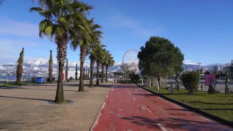Boulevard in Batumi in winter Stock Footage 233365836
