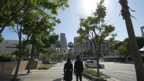 Boulevard in Los Angeles Stock Footage 87120368