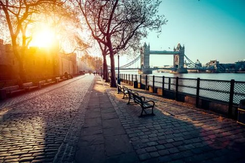 A boulevard next to the river Thames Stock-Fotos