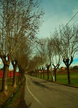 Boulevard Stock Photos