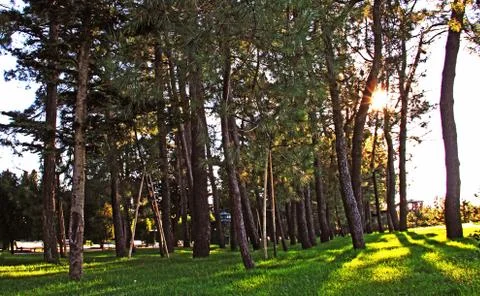 Boulevard 스톡 사진