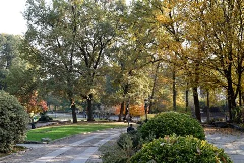 Boulevard Stock Photos