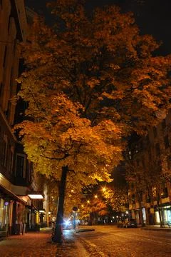 Boulevard Stock Photos