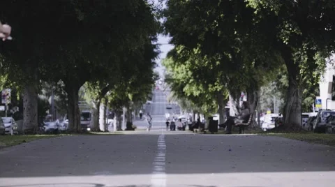 Boulevard Trees Graded Stock Footage 58147561