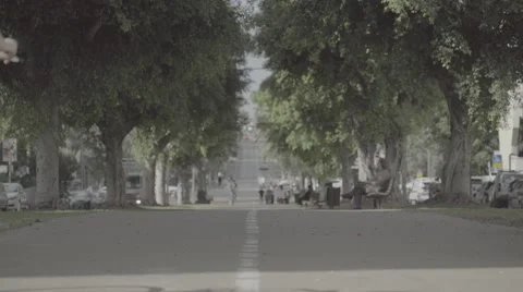 Boulevard trees Ungraded Stock Footage 58147719