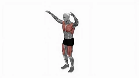 Bouncing Circle Draw fitness exercise workout animation male muscle highlight 4K Vidéo 243981925