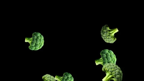 Bouncing up fresh Broccoli motion graphics with plain black background Stock Footage 331840366