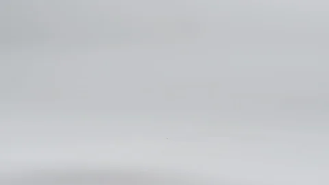 Bouncing house on white background Stock Footage 94011610