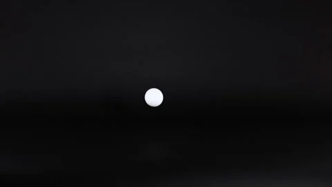 Bouncing Ping Pong Ball Motion Video stock 308776585