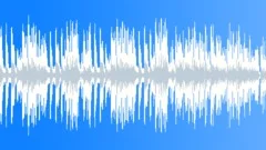 Bouncy Flute and Funny Tuba 30s Loop Hectic Tuba Stock Music