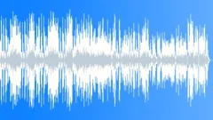 Bouncy Flute and Funny Tuba 1 Min Stock Music