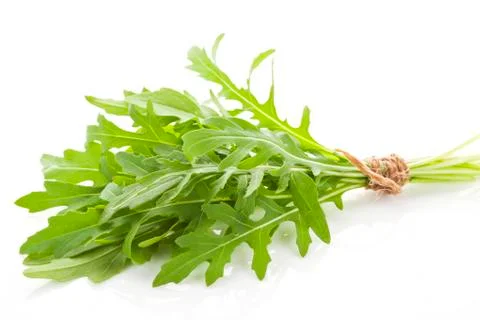 Bound arugula bunch isolated. Stock Photos