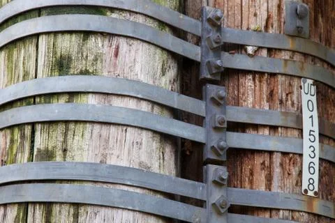 Bound utility poles Stock Photos