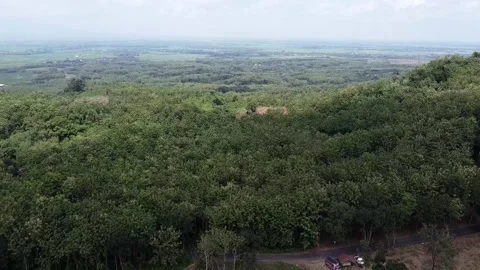 The boundary between forest and deforested land Stock-Footage 279251310