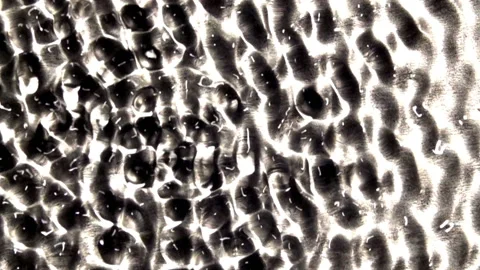 The boundary between standing and moving waves with interference patterns Stock Footage 144631105