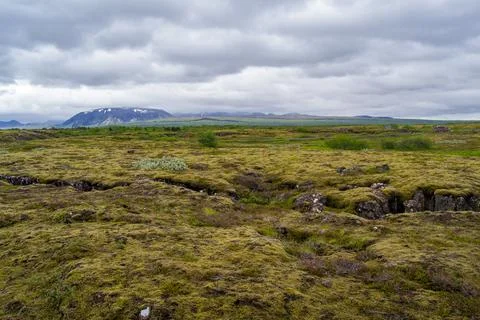 Boundless expanses of tundra Stock Photos