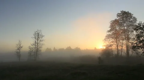 Boundless field Stock Footage 51235064